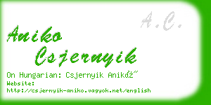 aniko csjernyik business card